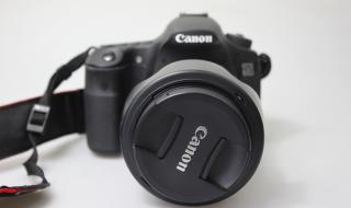 性价比高的单反 性价比高的单反