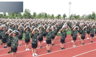 我真的很不错手语操 我真的很不错手语操