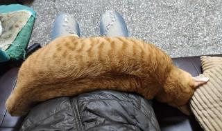 时间像把杀猪刀 时间像把杀猪刀