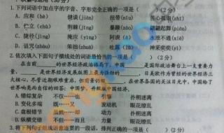 2013中考语文 2013中考语文