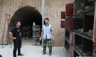 爸爸吃女儿的小兔子 爸爸吃女儿的小兔子