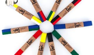 跆拳道红带 跆拳道红带