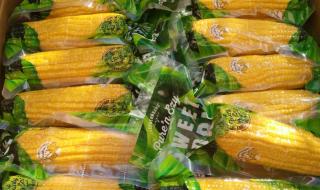 新西兰的钞票是塑料