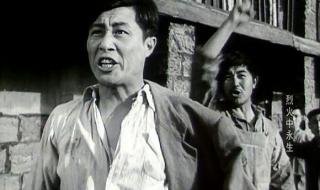 王心刚电影 王心刚电影