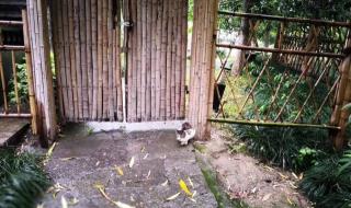 如果女人总是等到夜深 如果女人总是等到夜深