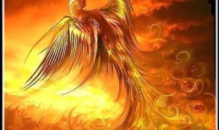 凤凰涅磐浴火重生 凤凰涅磐浴火重生