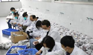 株洲什么时候解封