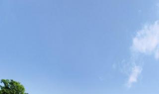 美丽的草原一望无边