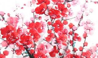 梅花魂课堂笔记图片