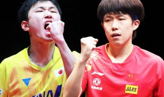 孙颖莎世界杯冠军 孙颖莎世界杯冠军