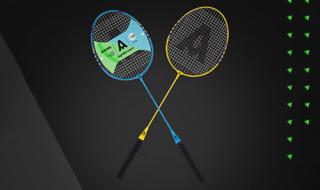 中国十大羽毛球拍品牌